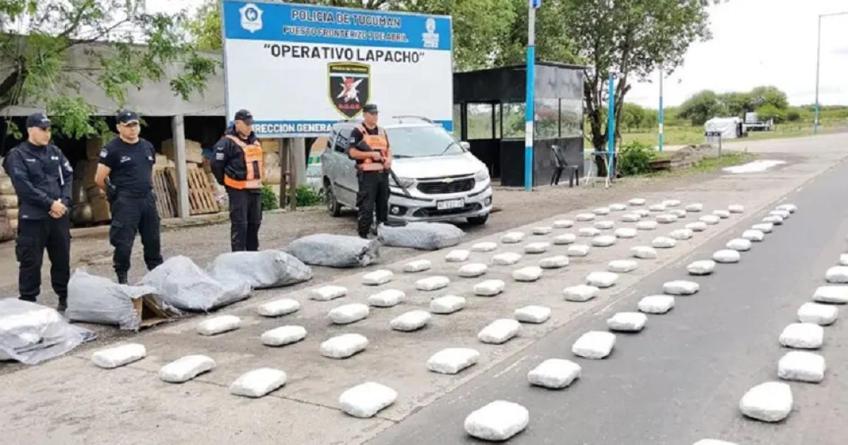 Golpe al narcotraacutefico- incautaron 120 kilos de marihuana y detuvieron a cuatro saltentildeos
