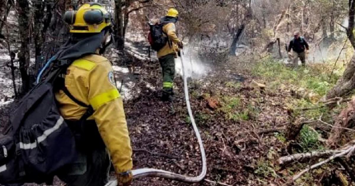 Río Negro declaró la Emergencia Ígnea por un año ante el alto riesgo de incendios - Foto- NA