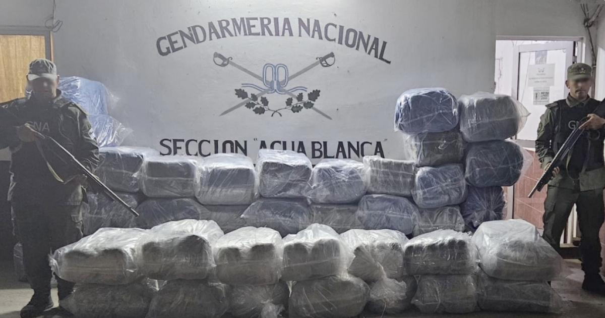 Un grupo de personas descartoacute bultos con 187 kilos de marihuana y 672 kilos de coca en estado natural