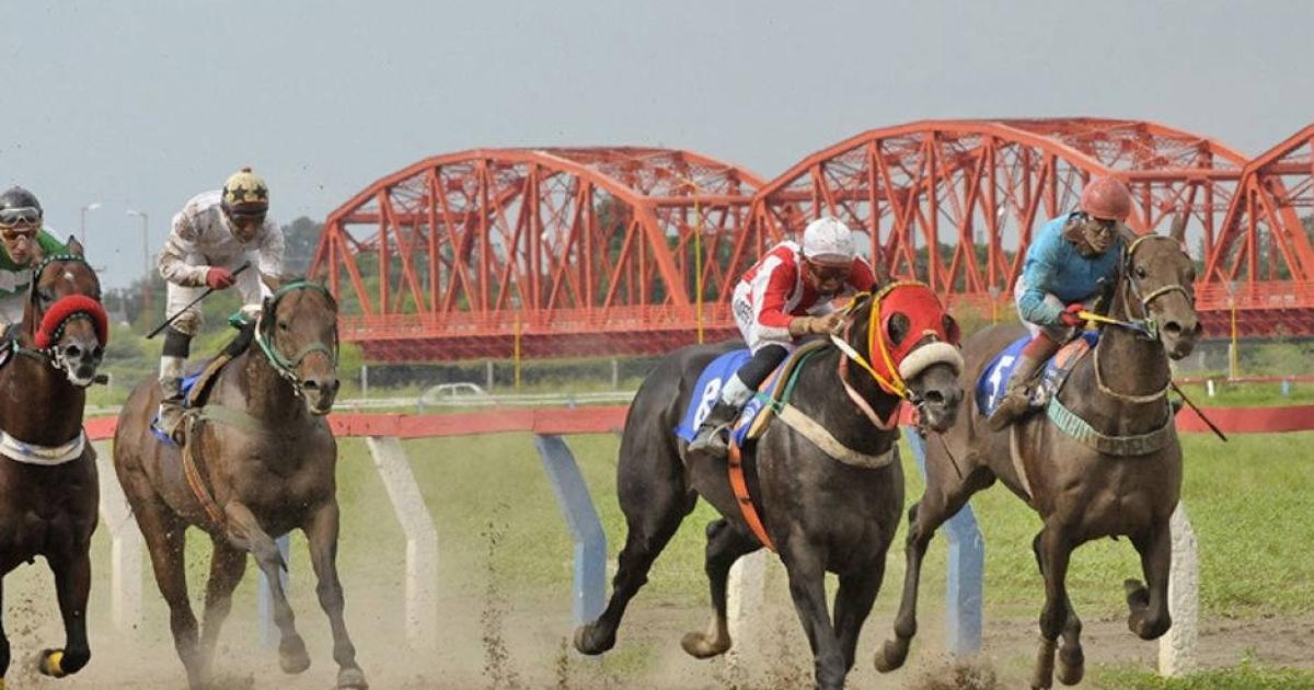 La grey burrera tendraacute 23 carreras para disfrutar en el Hipoacutedromo 27 de Abril