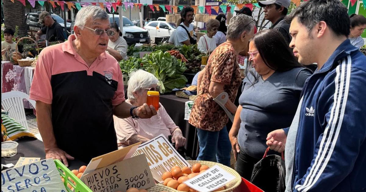 La Feria Itinerante de Las Termas se presentoacute en la plaza Eva Peroacuten