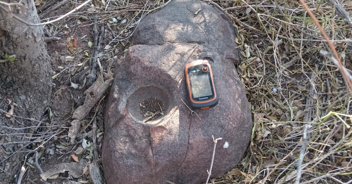 Hallazgo de nuevo linaje argento- Habla el Dr Catriel Leoacuten