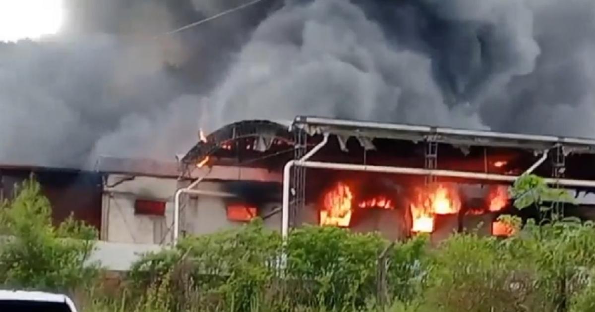 Impactante incendio en un frigoriacutefico de Posadas- tres explosiones y una bombera asistida