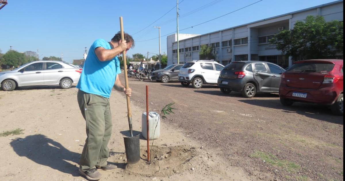 El municipio plantoacute especies arboacutereas en la Escuela Teacutecnica Nordm 6