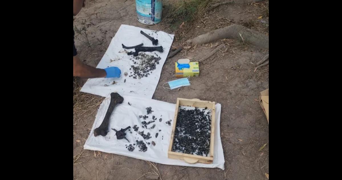 Cecilia Strzyzowski tendraacute certificado de defuncioacuten y le daraacuten a su madre las cenizas con los restos hallados