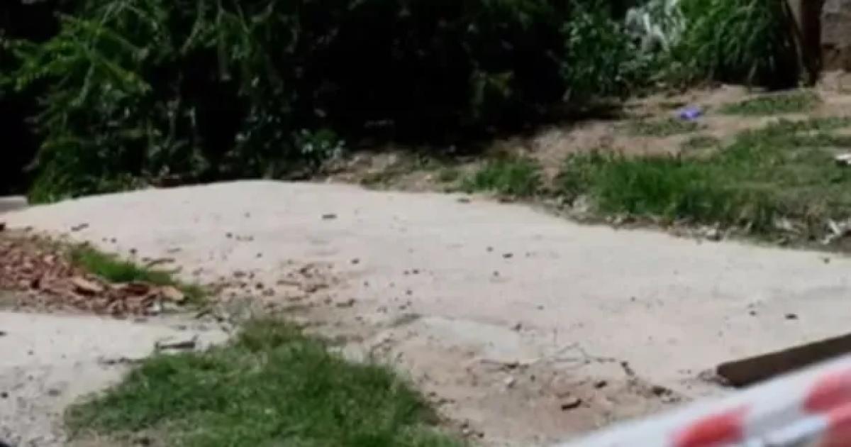 Se veiacutea un tatuaje- su perro aparecioacute con un hueso y sospechan que se trata de restos humanos