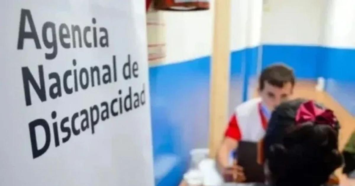 La Justicia Federal resolvioacute la cuestioacuten de fondo y Andis debe restituir pensiones de discapacidad en todo el paiacutes