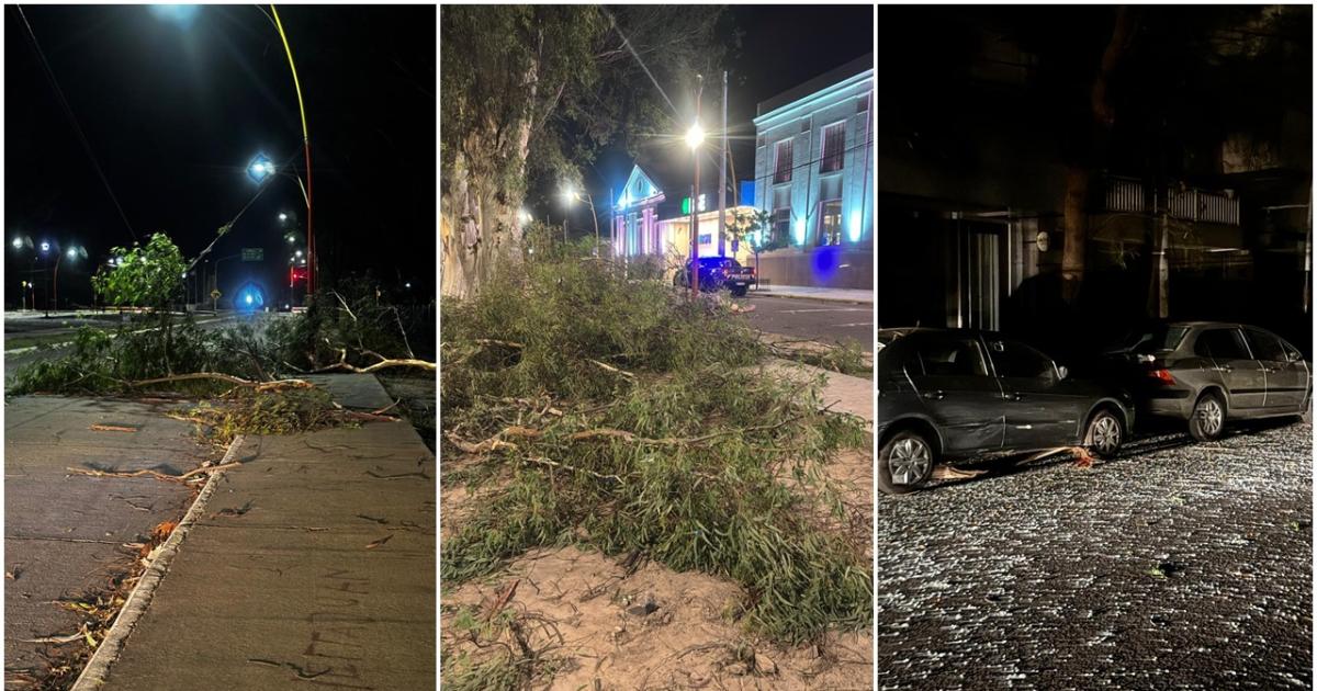 Caos y destrozos por el temporal- aacuterboles caiacutedos voladura de techos y autos dantildeados