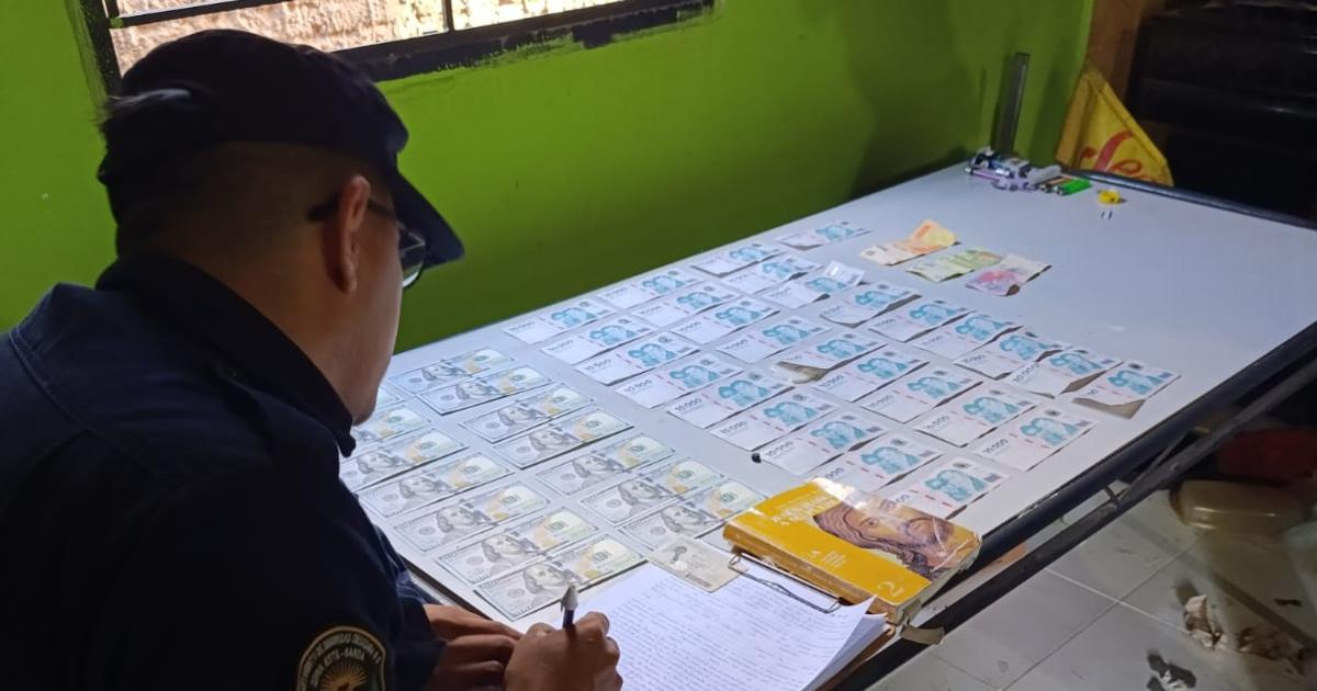 Pareja presa por robar doacutelares teniacutea una planta de marihuana en su casa