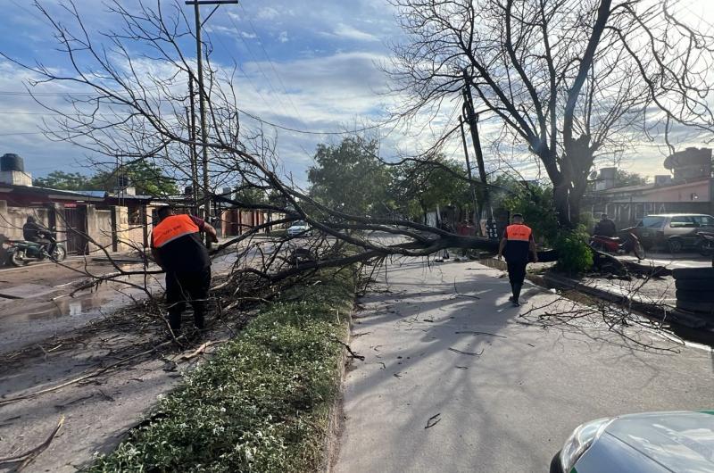 El Comiteacute de Emergencia trabaja para despejar sectores afectados