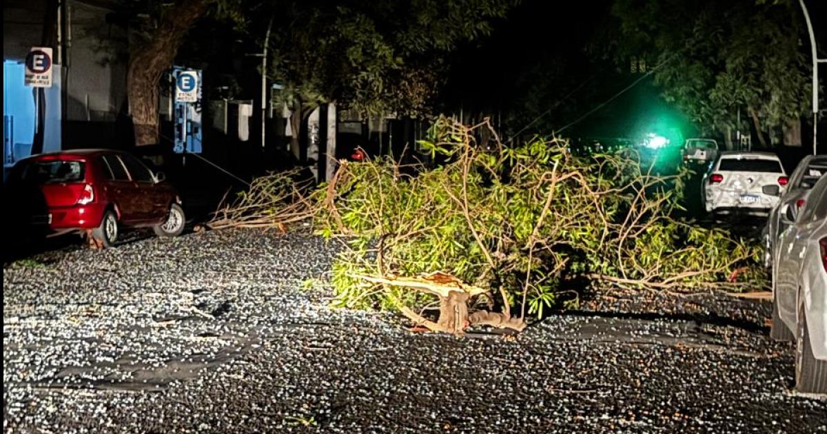 Vientos huracanados de maacutes de 100 kmh devastaron Santiago en plena madrugada