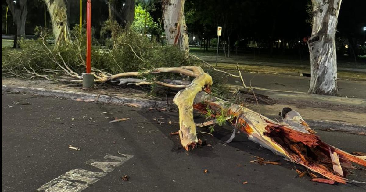 Vientos huracanados de maacutes de 100 kmh devastaron Santiago en plena madrugada