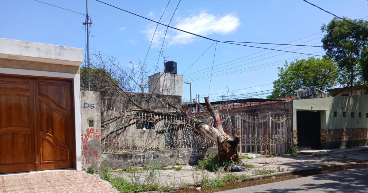 Vientos huracanados de maacutes de 100 kmh devastaron Santiago en plena madrugada