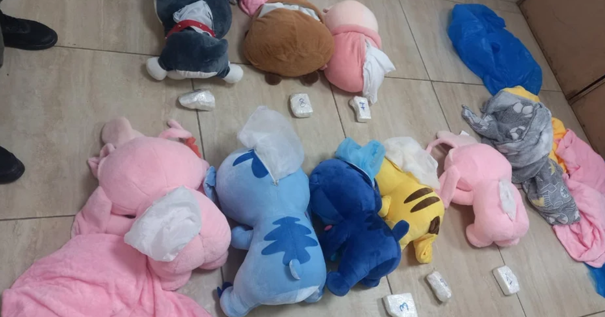 Los peluches encontrados tenían cocaína en su interior (Foto- Gendarmería Nacional)