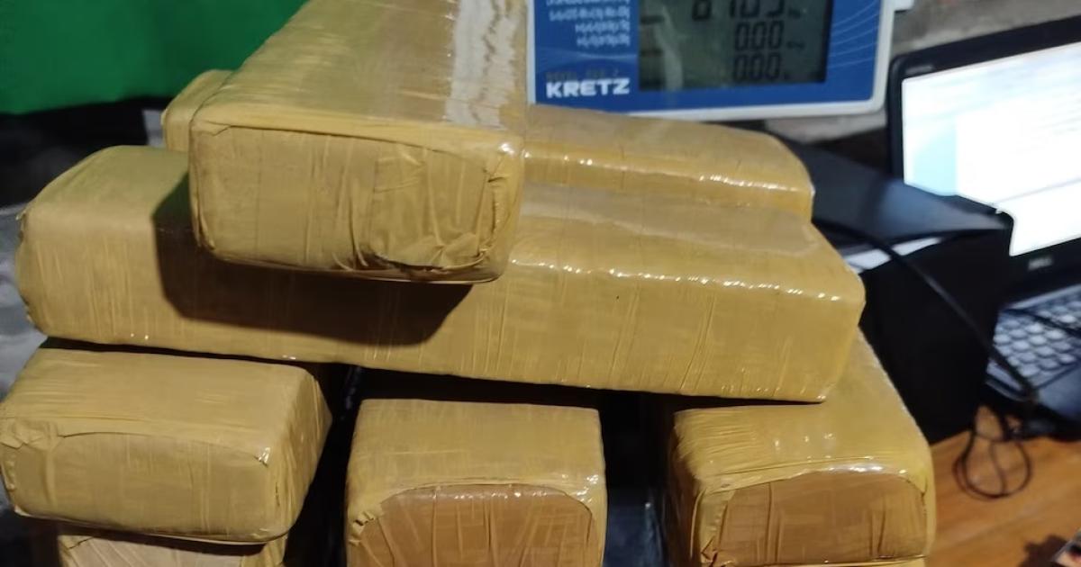 Maacutes de 700 dosis de cocaiacutena incautadas y cuatro detenidos tras siete allanamientos