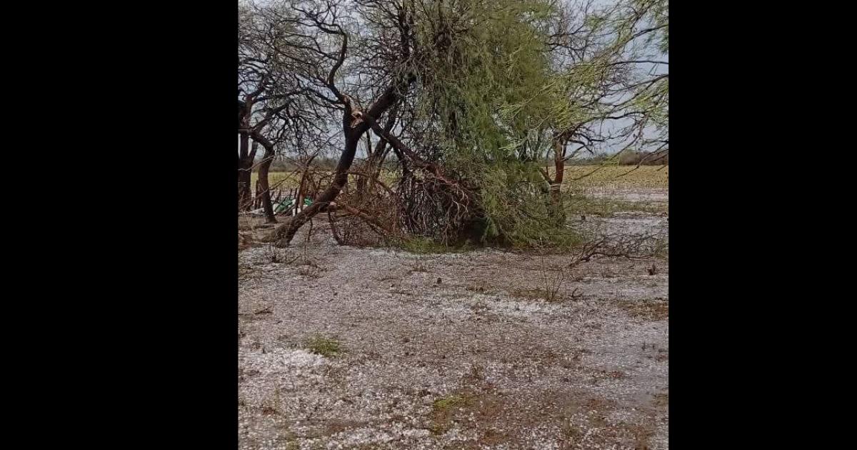 Fuerte temporal afectoacute a Los Juriacutees con intensas precipitaciones y abundante caiacuteda de piedras 
