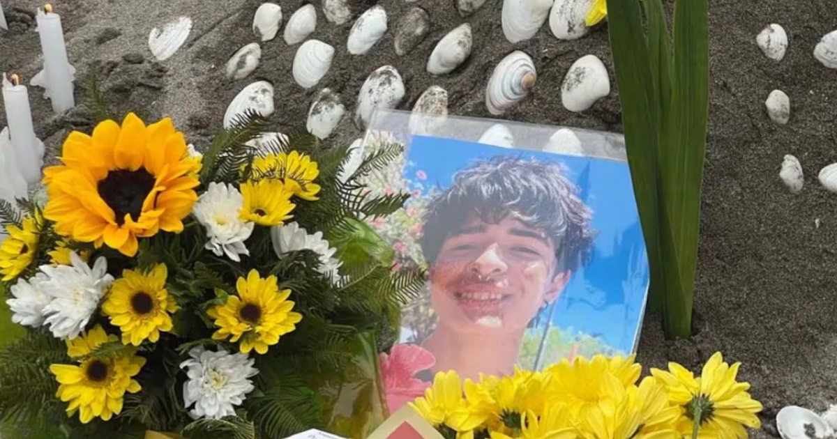 Alejandro el joven que murió ahogado en una playa de Chile (Foto- Gentileza La tercera)