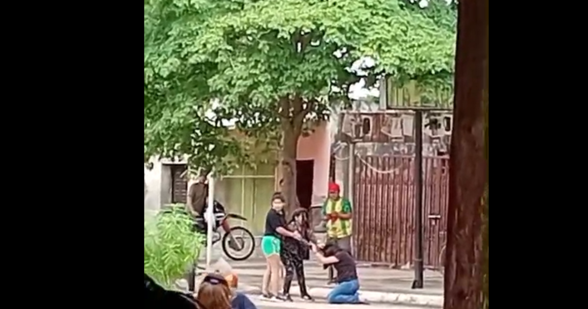 Roba maridos- tiacutea y sobrina se trenzaron a golpes por una presunta infidelidad