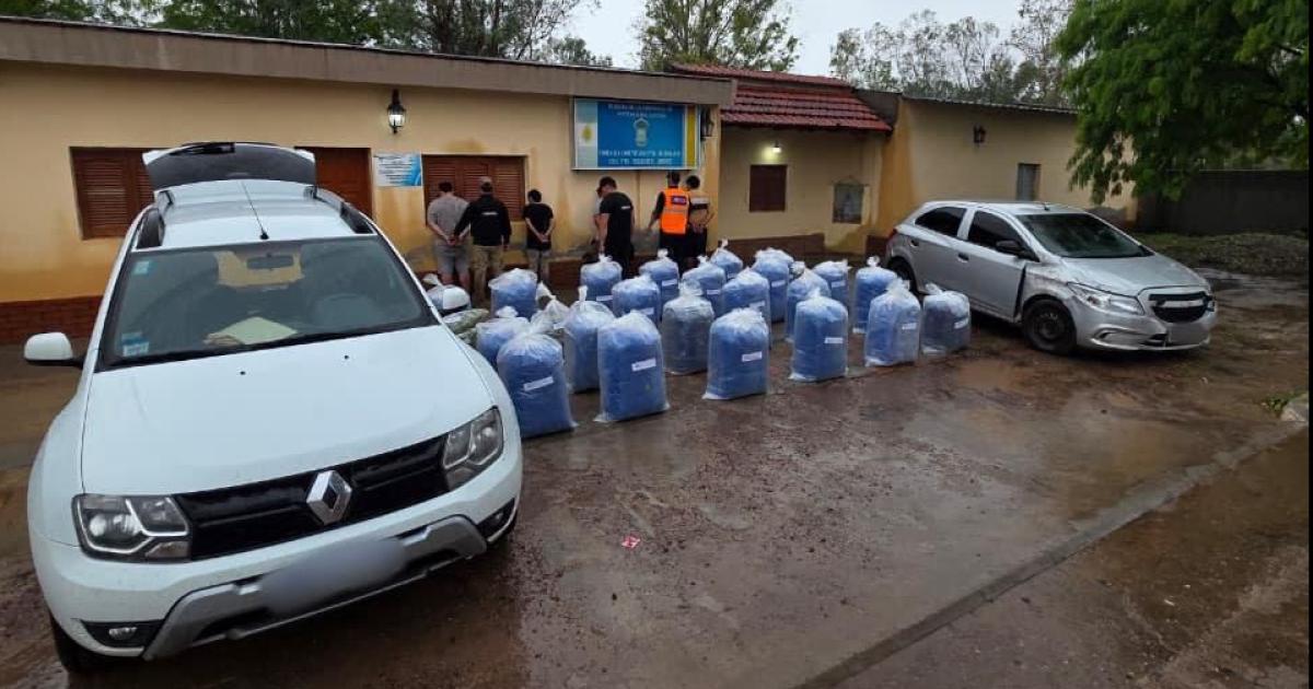Operativo en el norte santiaguentildeo- incautan maacutes de 500 kilos de hojas de coca 