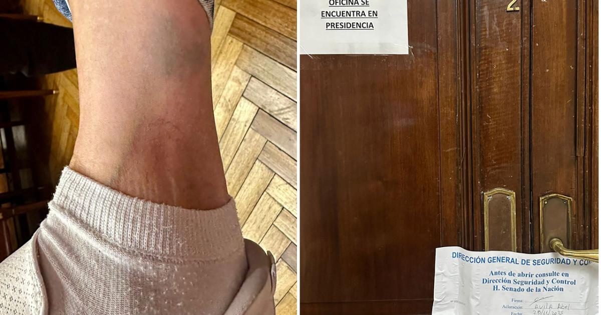 Gritos y forcejeos con una senadora kirchnerista que denuncioacute que le bloquearon el acceso a su despacho