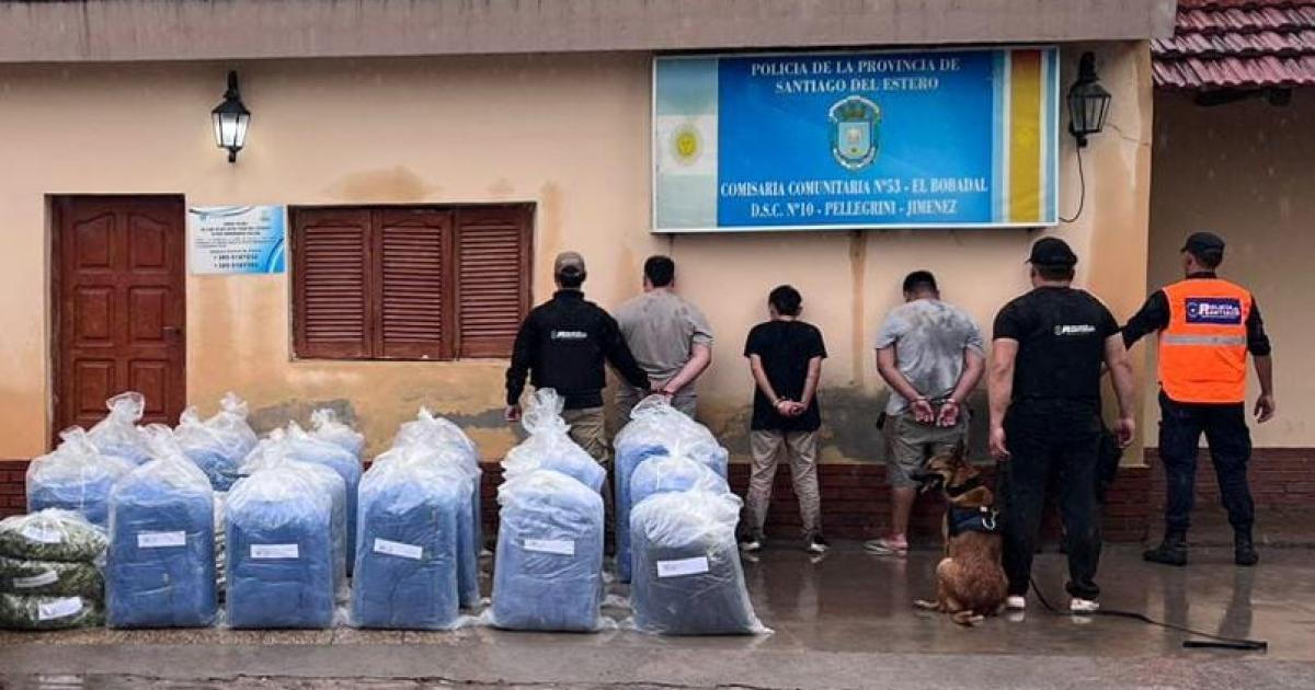 Operativo en el norte santiaguentildeo- incautan maacutes de 500 kilos de hojas de coca 