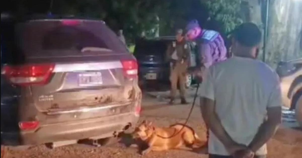 OPERATIVO Los efectivos especializados de la Gendarmería Nacional realizaron una pormenorizada requisa en el interior del vehículo interceptado