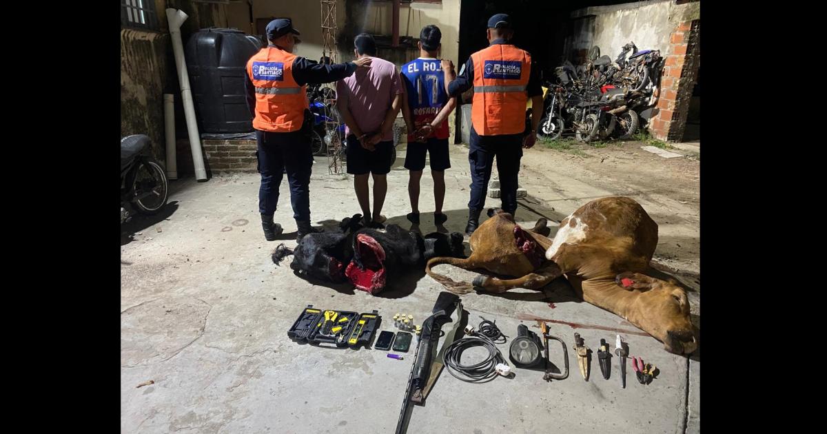 Persecucioacuten faena clandestina y dos detenidos en Pinto- secuestraron un auto con animales muertos y un arma