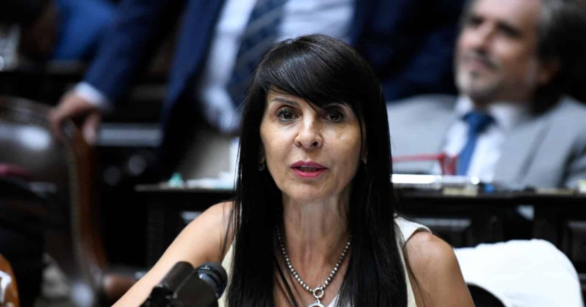 Tras no tener respaldo para asumir en el Senado Villaverde retiroacute su renuncia como diputada