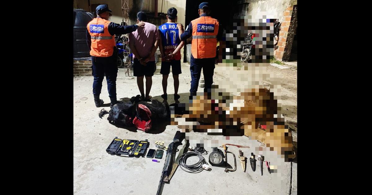 Caen presos dos sujetos que transportaban animales faenados y un arma