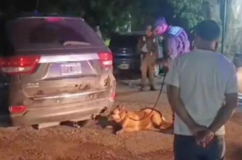 OPERATIVO Los efectivos especializados de la Gendarmería Nacional realizaron una pormenorizada requisa en el interior del vehículo interceptado