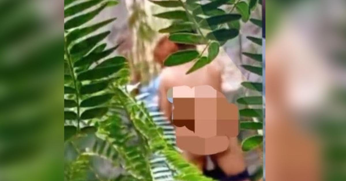 Foto- Alerta Banda Redes sociales