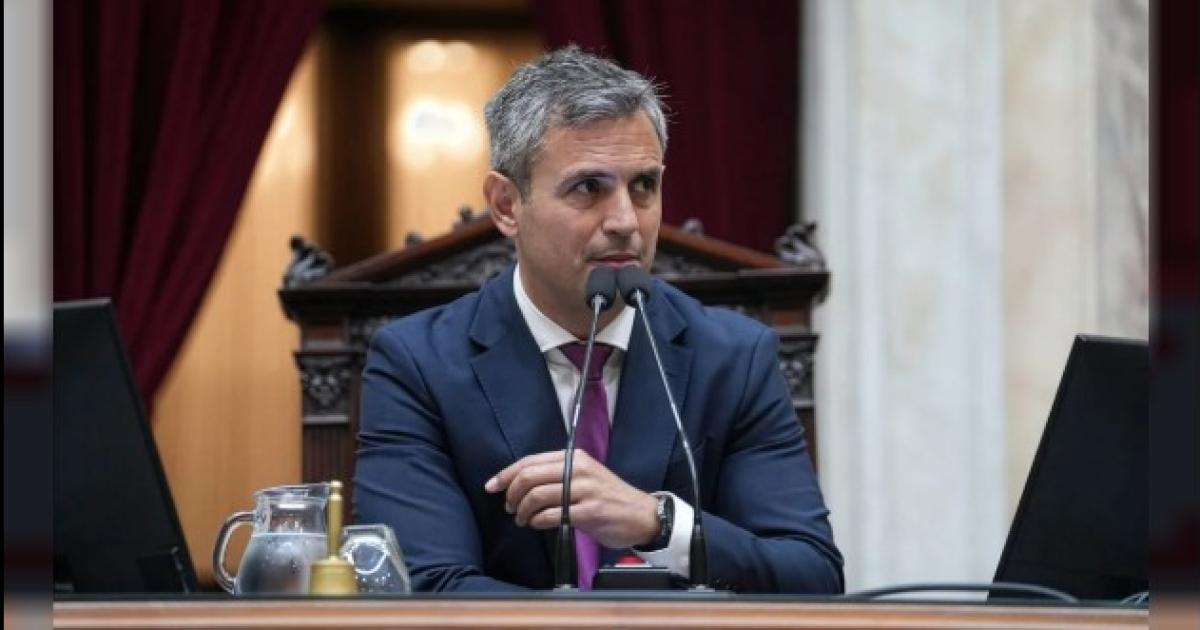 Martín Menem (Agencia NA)