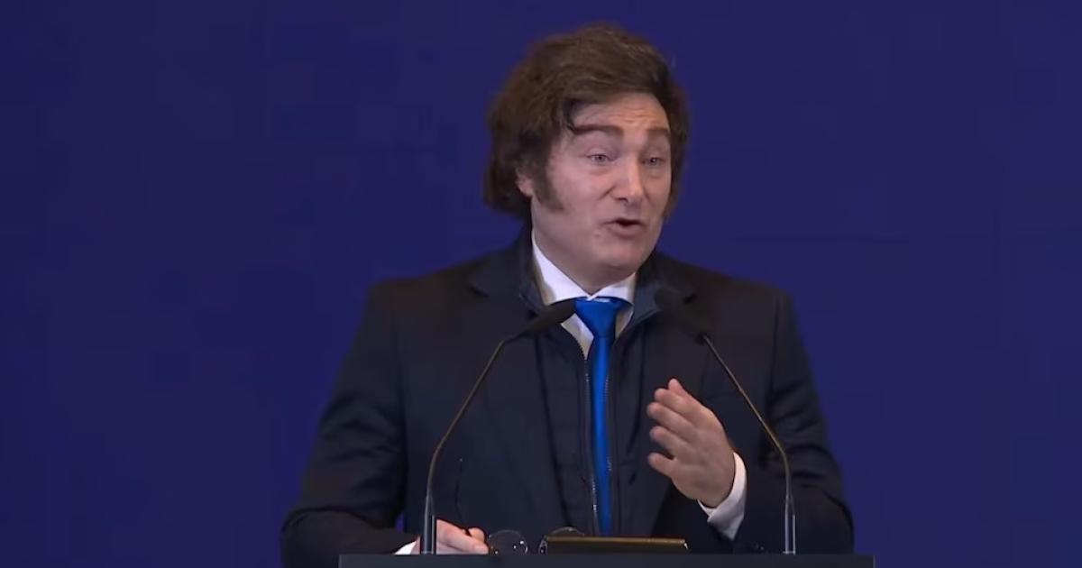 Javier Milei- Me contrataron para resolver problemas si no lo hago estariacutea bien que no me renueven el contrato