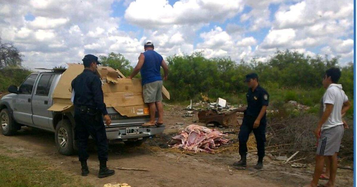 Ni papeles ni verguumlenza- atrapan a cuatreros con 13 animales