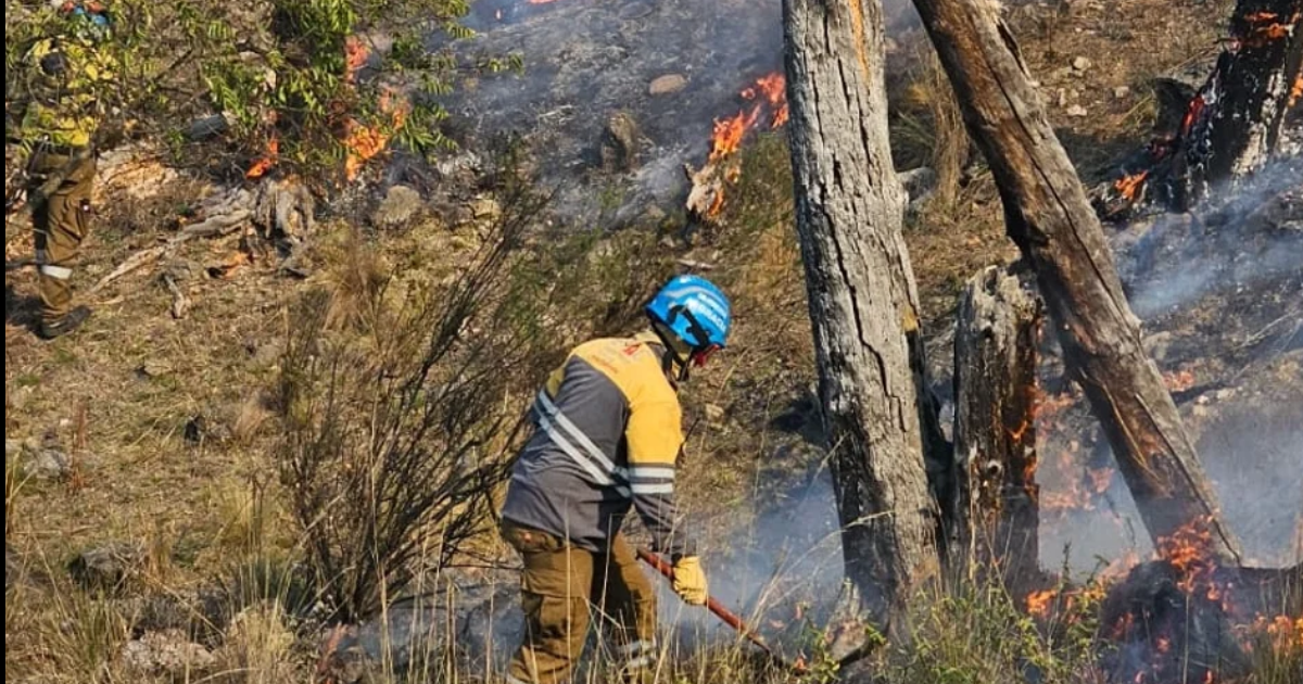 Córdoba una vez ms en alerta por los incendios forestales (Foto- NA)