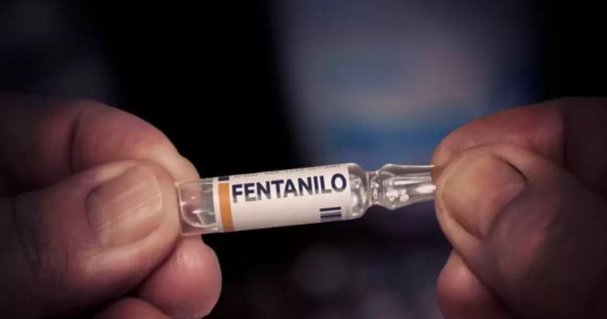 Valdeacutes propone crear el Diacutea Nacional de la Memoria por las Viacutectimas del Fentanilo Adulterado