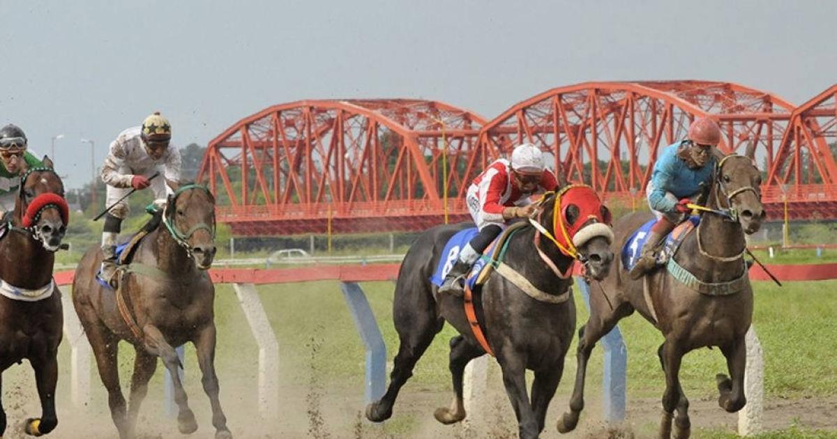 El turf santiaguentildeo tiene una interesante propuesta para mantildeana en el hipoacutedromo