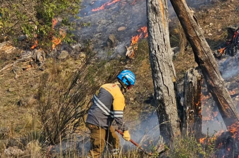 Córdoba una vez ms en alerta por los incendios forestales (Foto- NA)