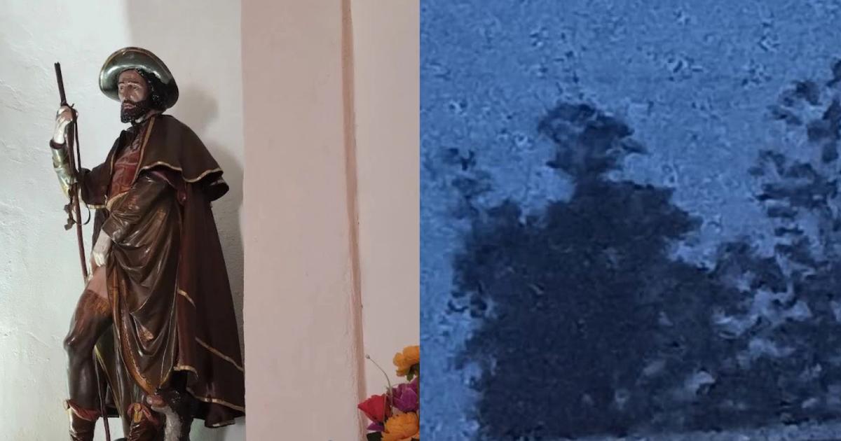 Imagen de San Roque en la capilla de Antaje - Figura de San Roque en un eucalipto