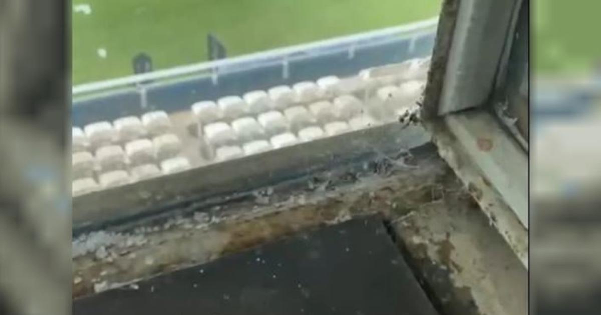 Las cabinas de transmisión de Estudiantes aparecieron con sal Foto- Agencia NA (Captura)