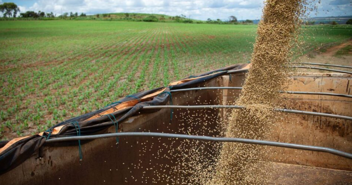 El Gobierno anuncioacute una nueva baja en las retenciones para el campo