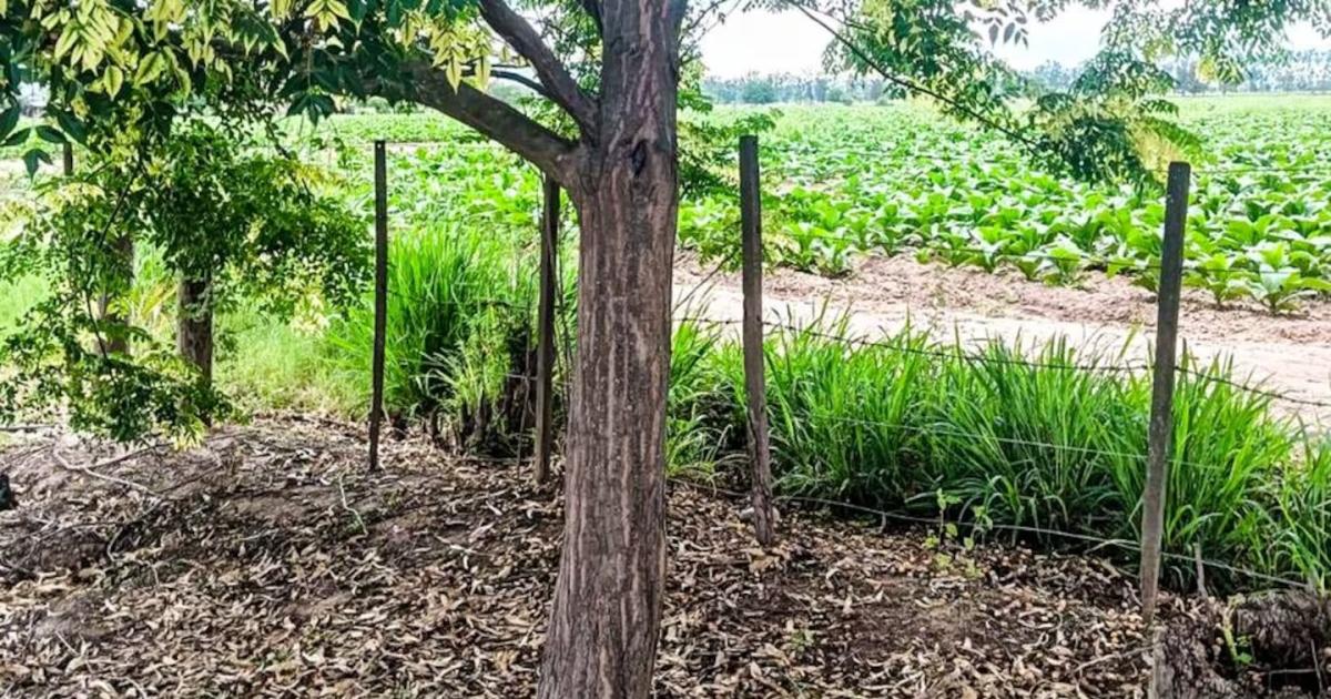 El lugar donde encontraron el cuerpo (Foto- El Tribuno Salta)