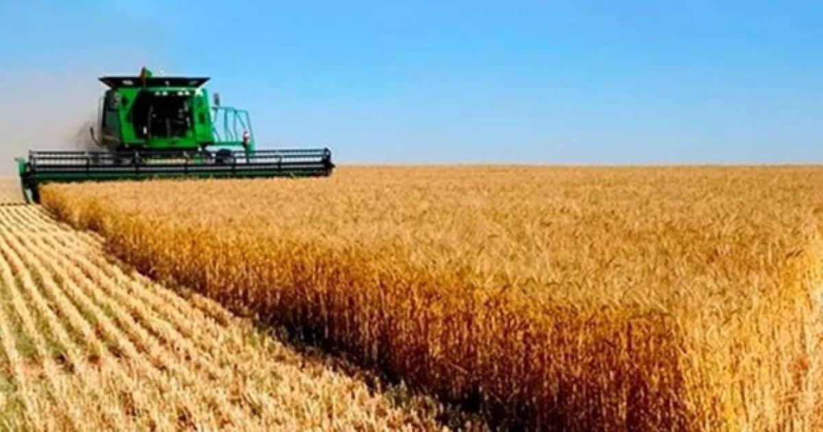 REDUCCIÓN La rebaja oscila entre uno y dos puntos segn el grano