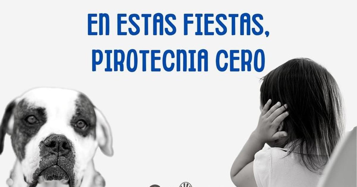 POR LAS PERSONAS CON AUTISMO POR LOS ENFERMOS POR LOS ANIMALES