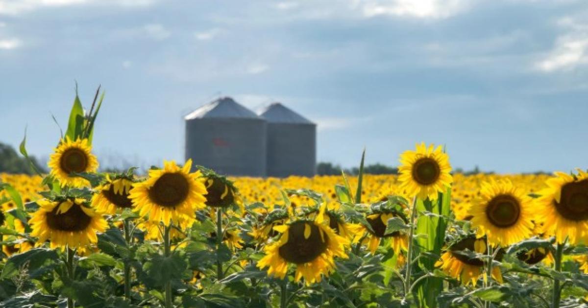 Ya es oficial la rebaja de retenciones al agro