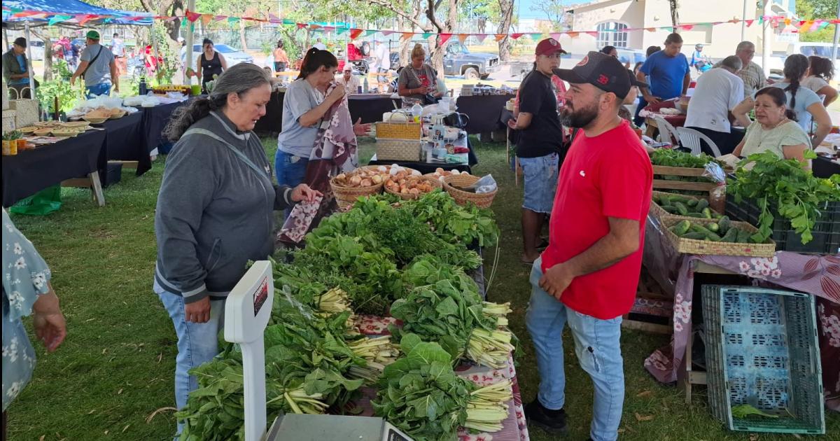 La Feria Itinerante de Las Termas consolida su eacutexito durante fin de antildeo
