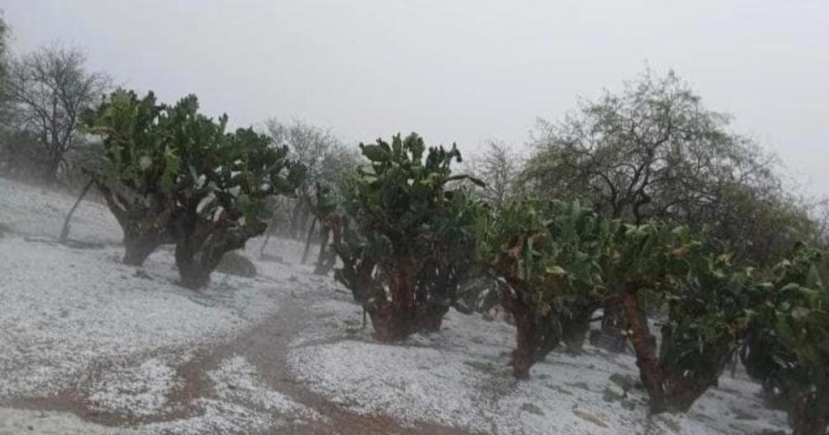Caida de granizo- paraje San Rafael