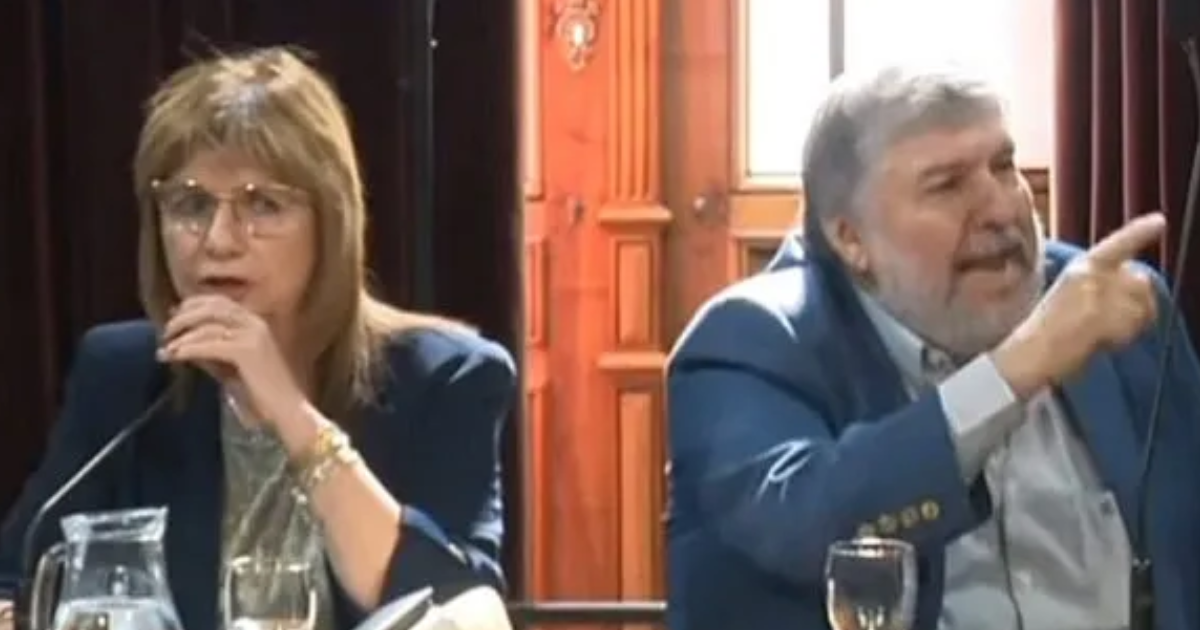 Duro cruce entre Joseacute Mayans y Patricia Bullrich en el debate por la reforma laboral- Hacen lo que se les canta las pelotas