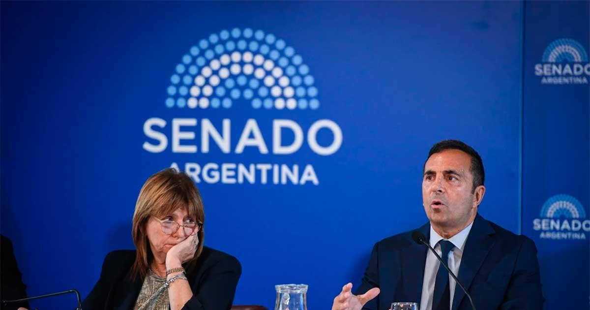 Cordero y Bullrich hicieron la presentación en el Senado