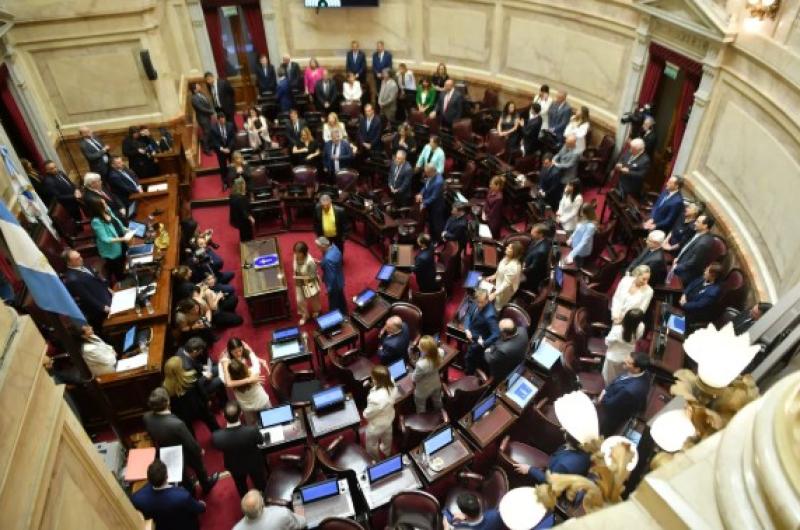 El Senado de la Nación Foto- Agencia NA